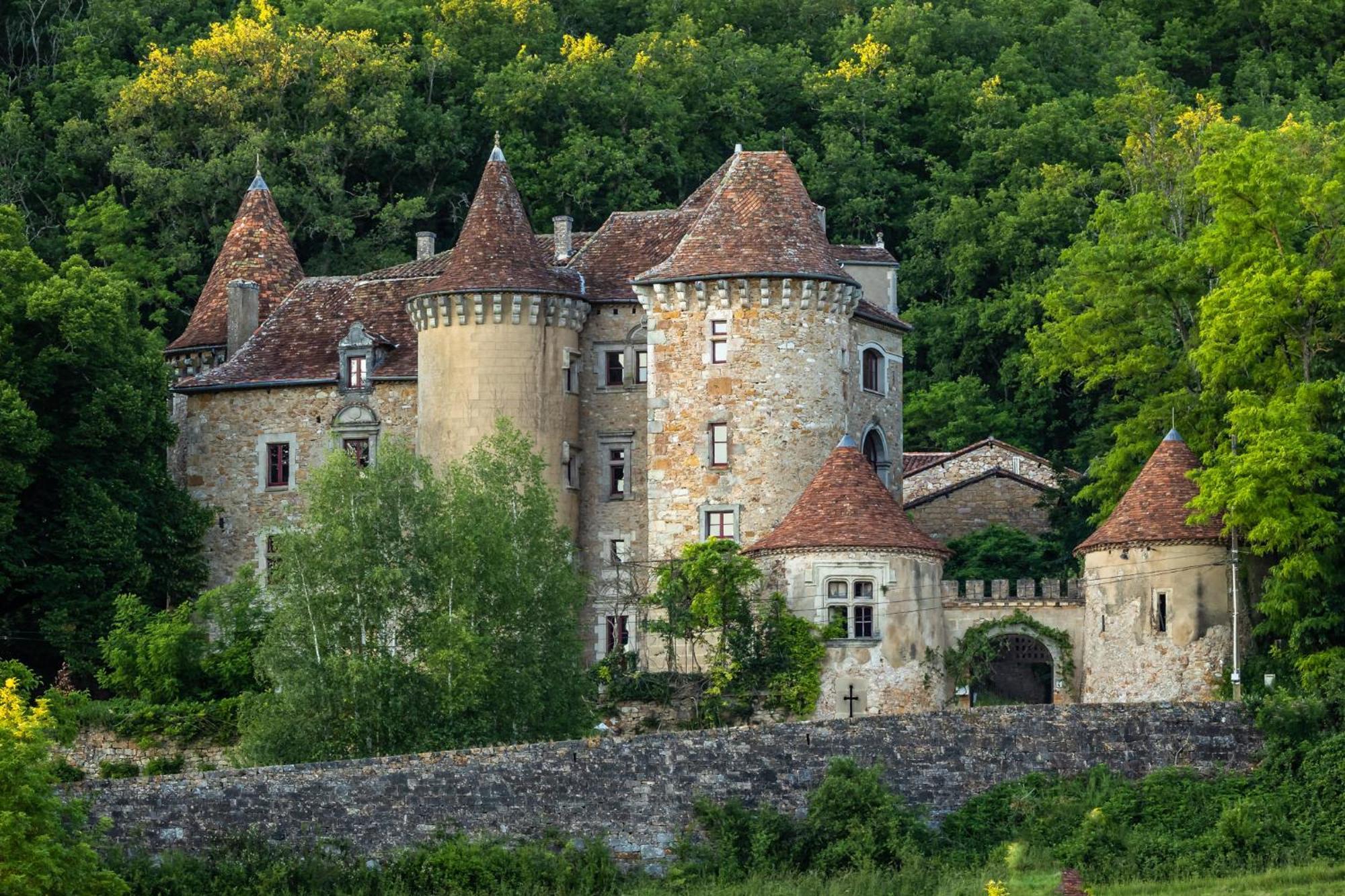 Chateau de Saint Dau Figeac Extérieur photo